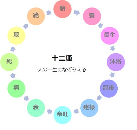 十二運 病|十二運の意味